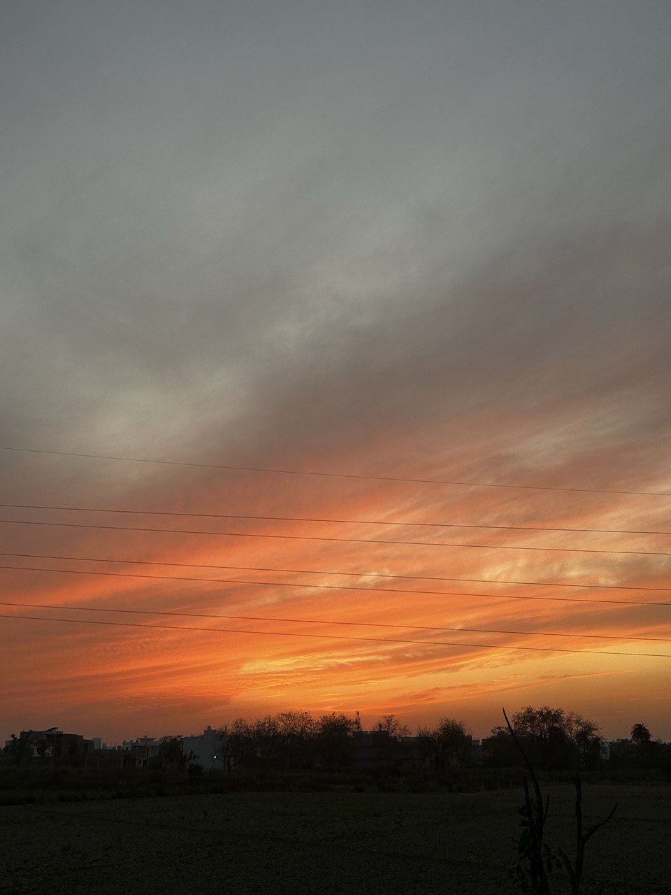 Image 30